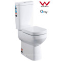 Белый стиль Белый керамический Washdown двухкомпонентный туалет (A-3887)